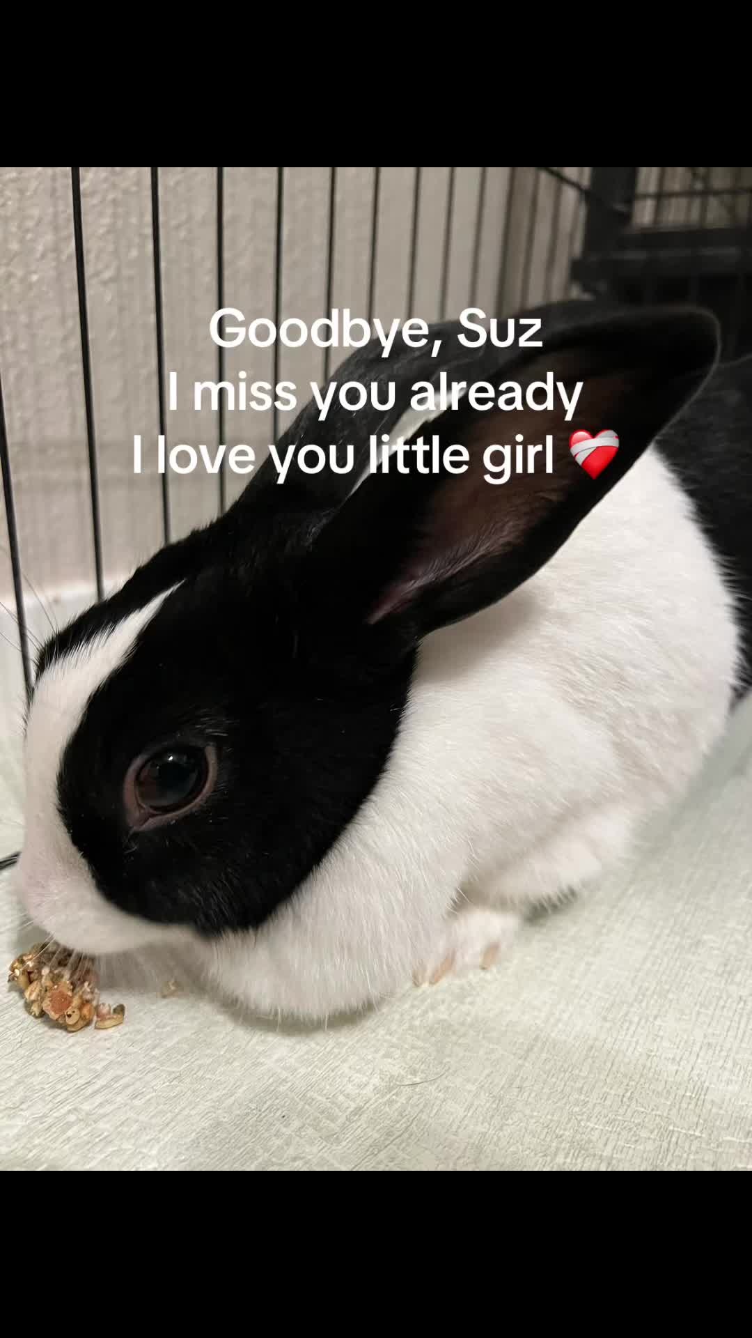 @Cayla Jay