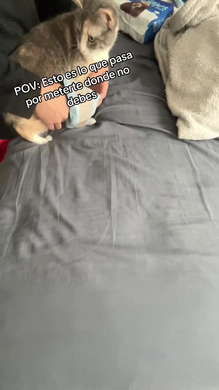 @lasoberanadelnilo