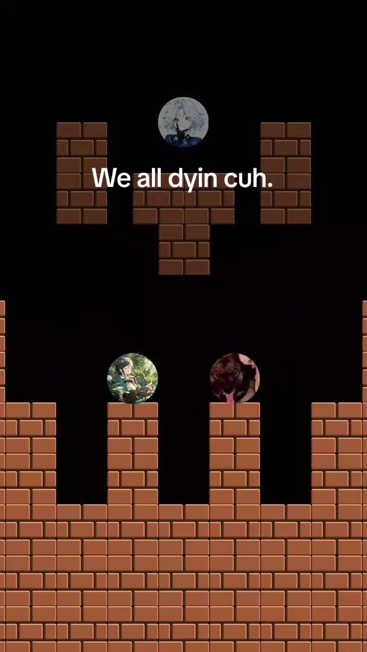 @Zcyle