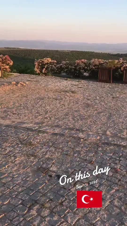 @TmShafi