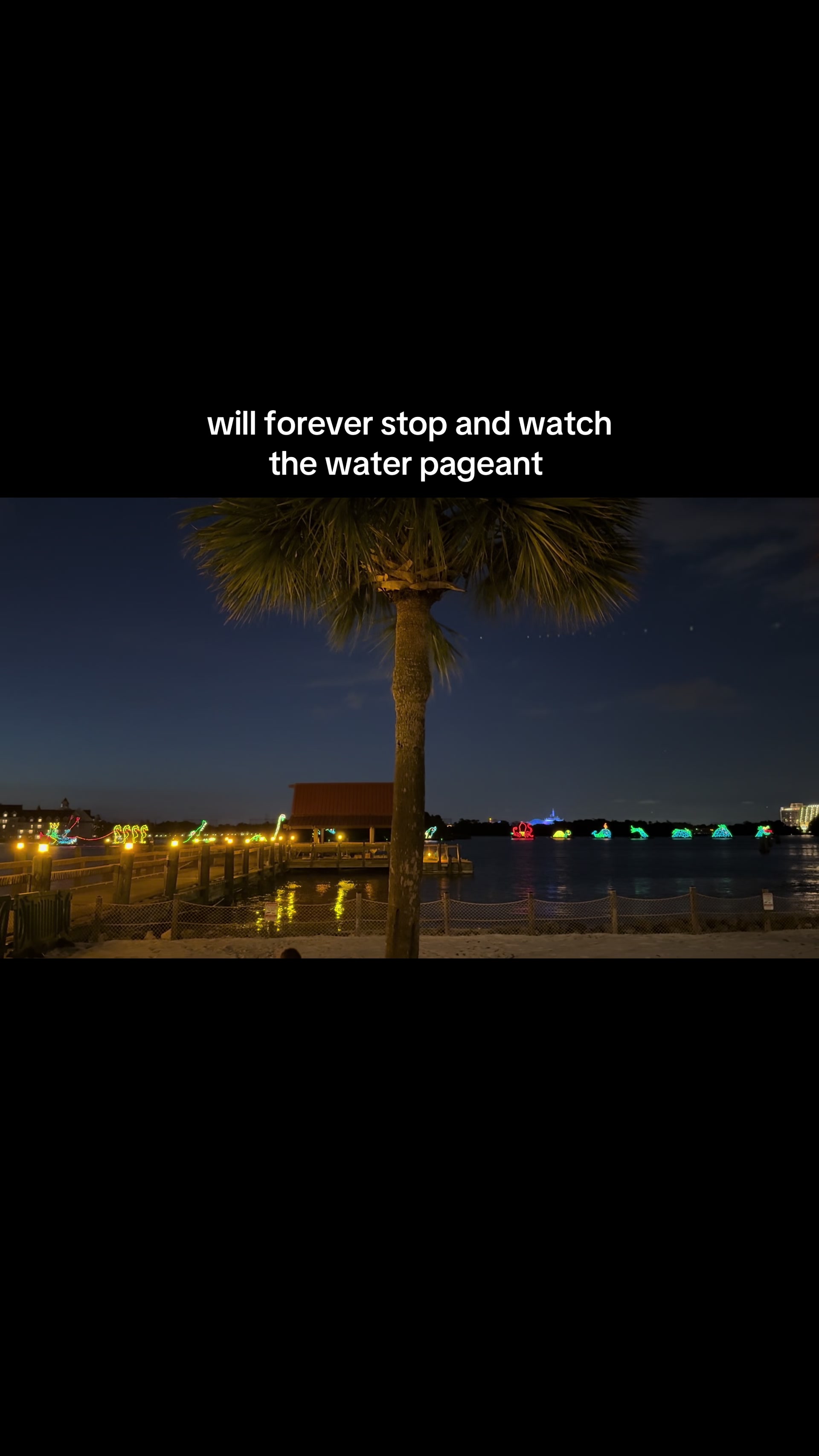 @halee✨