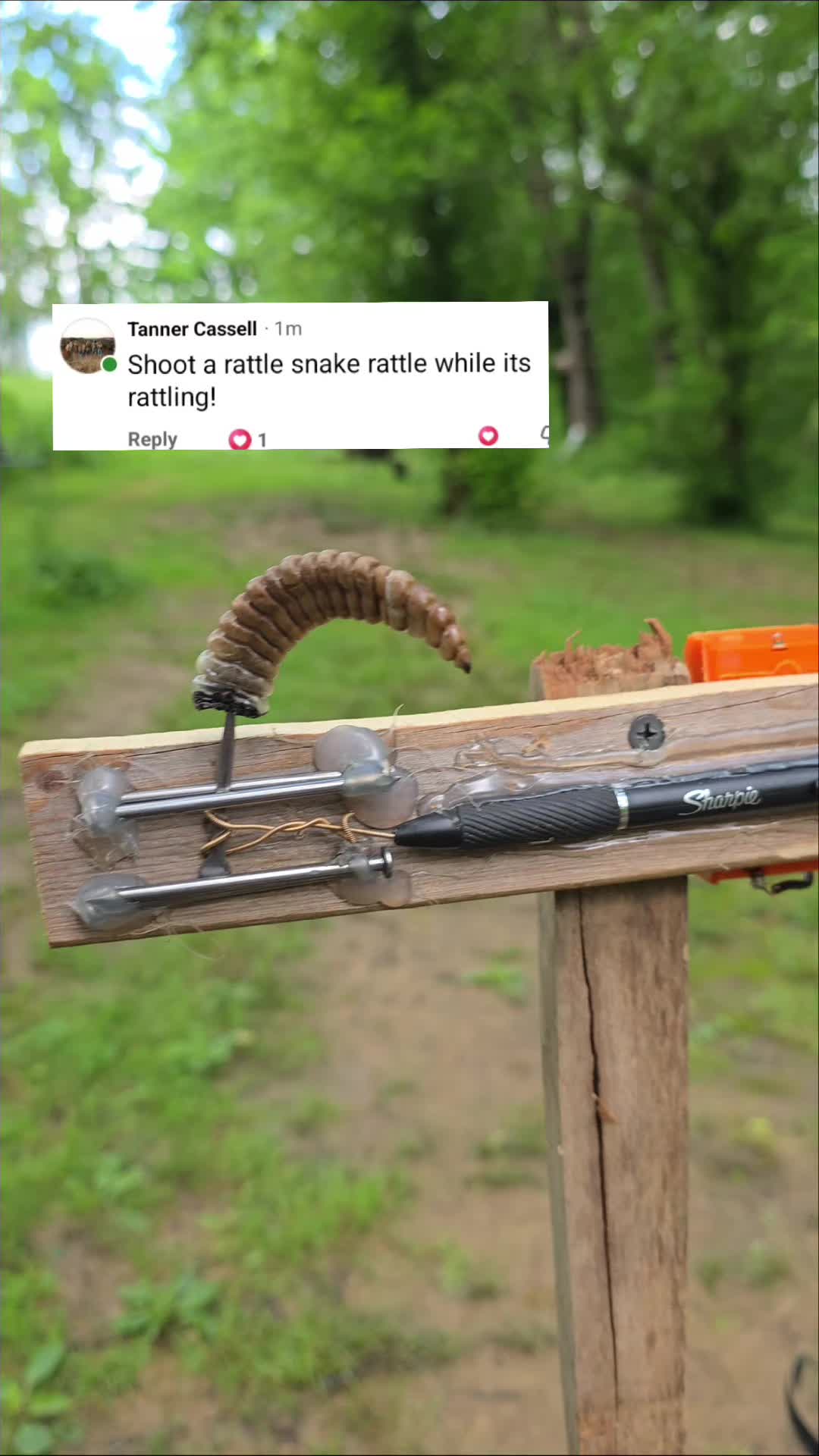 @Arrow_Sniper