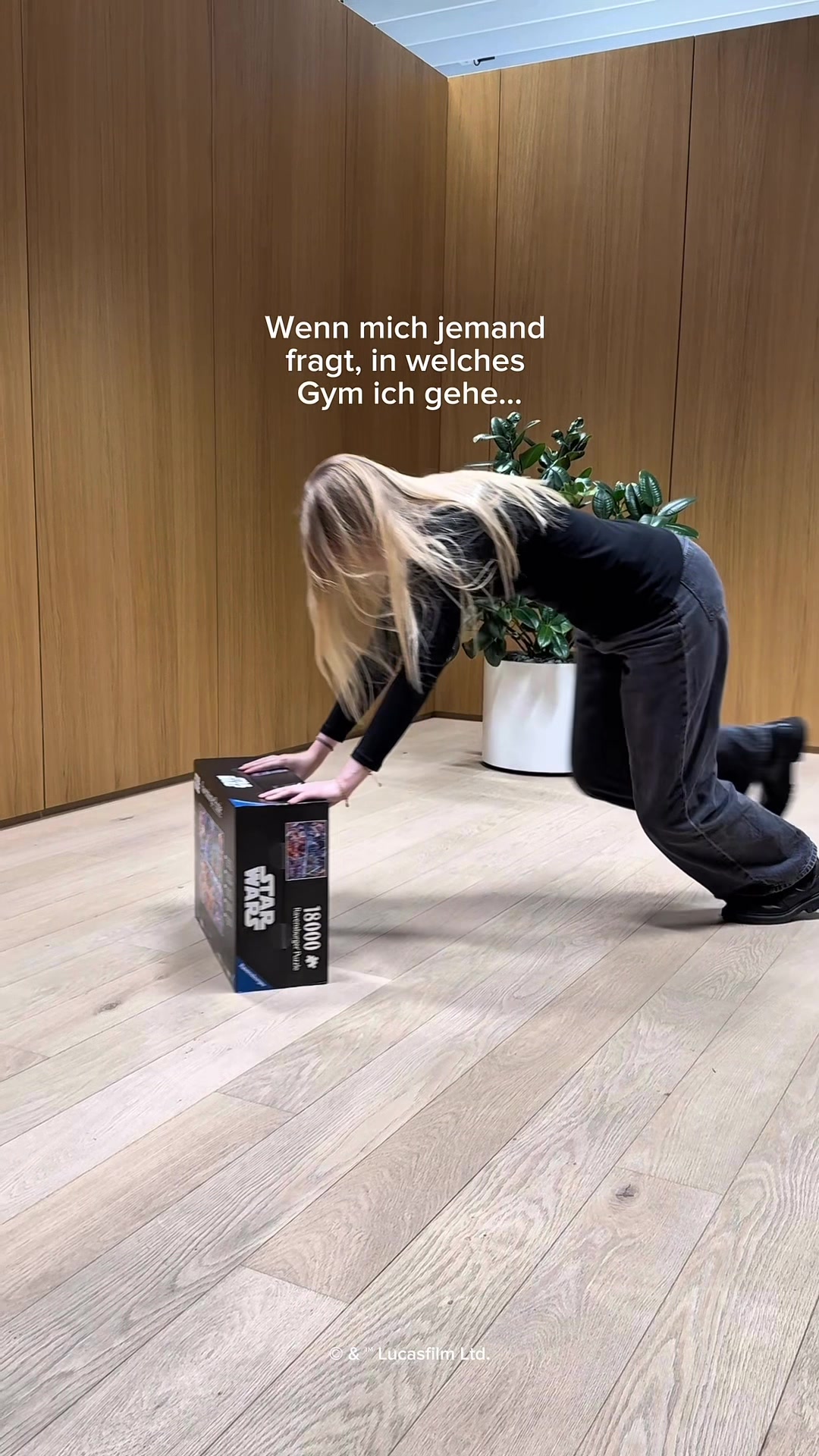 @ravensburgerde