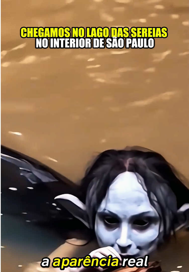 @felpzoficial