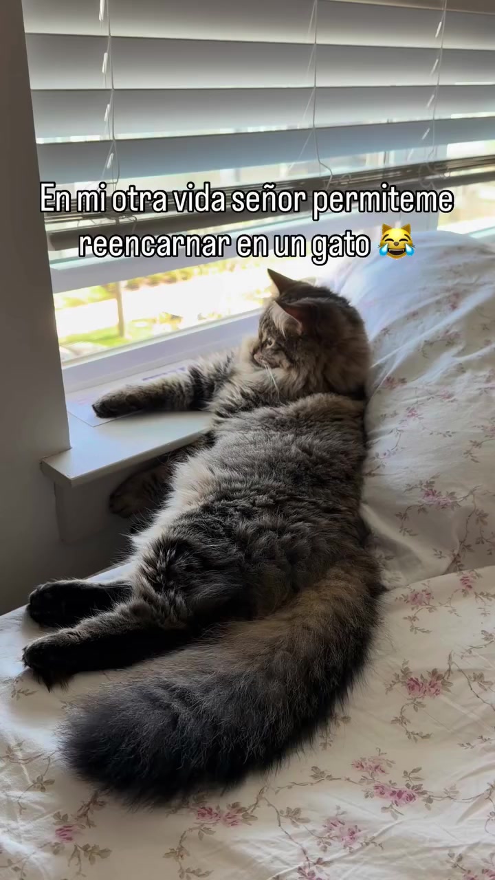 @tu persona favorita 💕