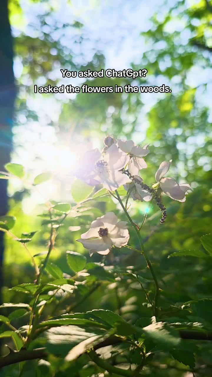@ScrodingersTimelord