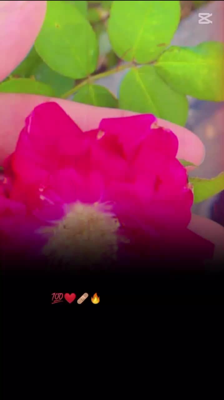 @ℂℛℤᎽ💖 ℚUℰℰℕ👑👑👑