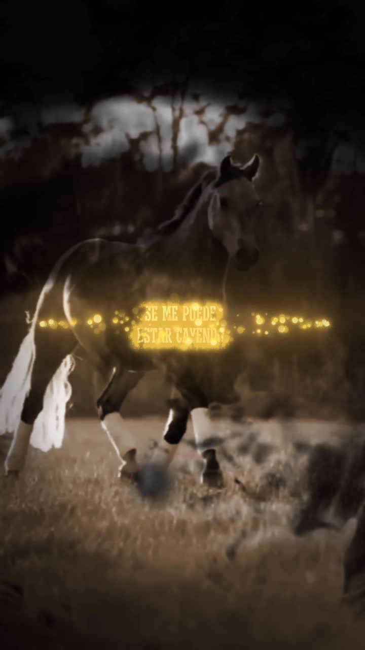 @💫 🇦 🇾 🇱 🇮 🇳💫