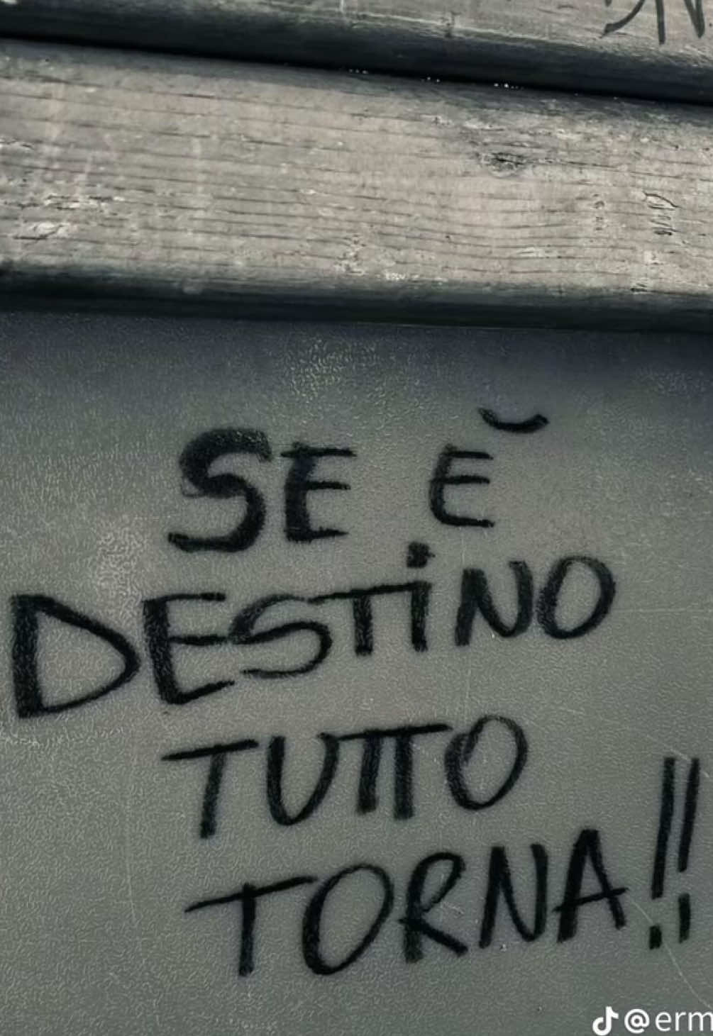 @Giusy solano
