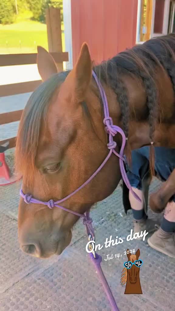 @🐴 ColdMountainRanch 🏇