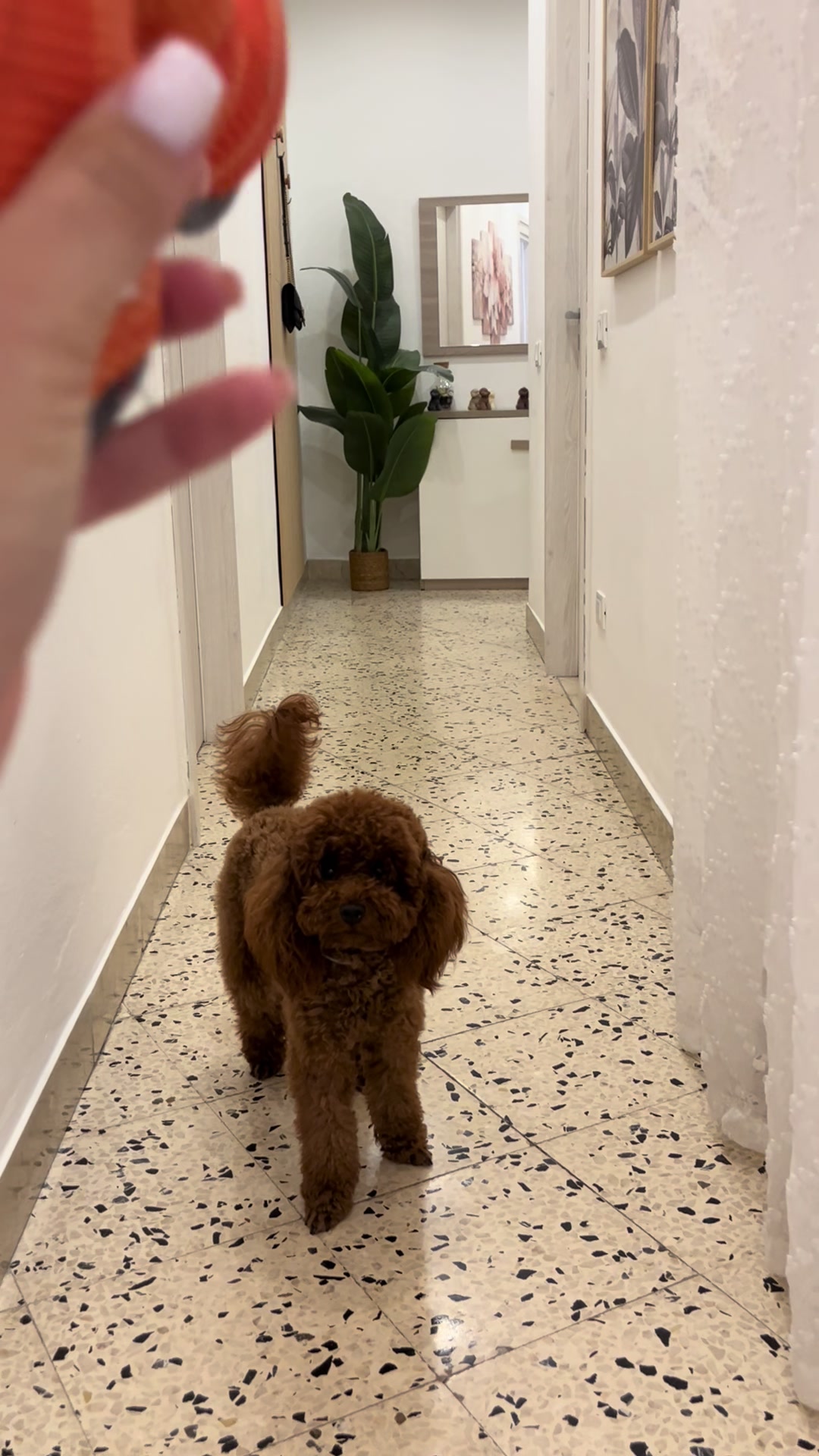 @Il mondo di Toby