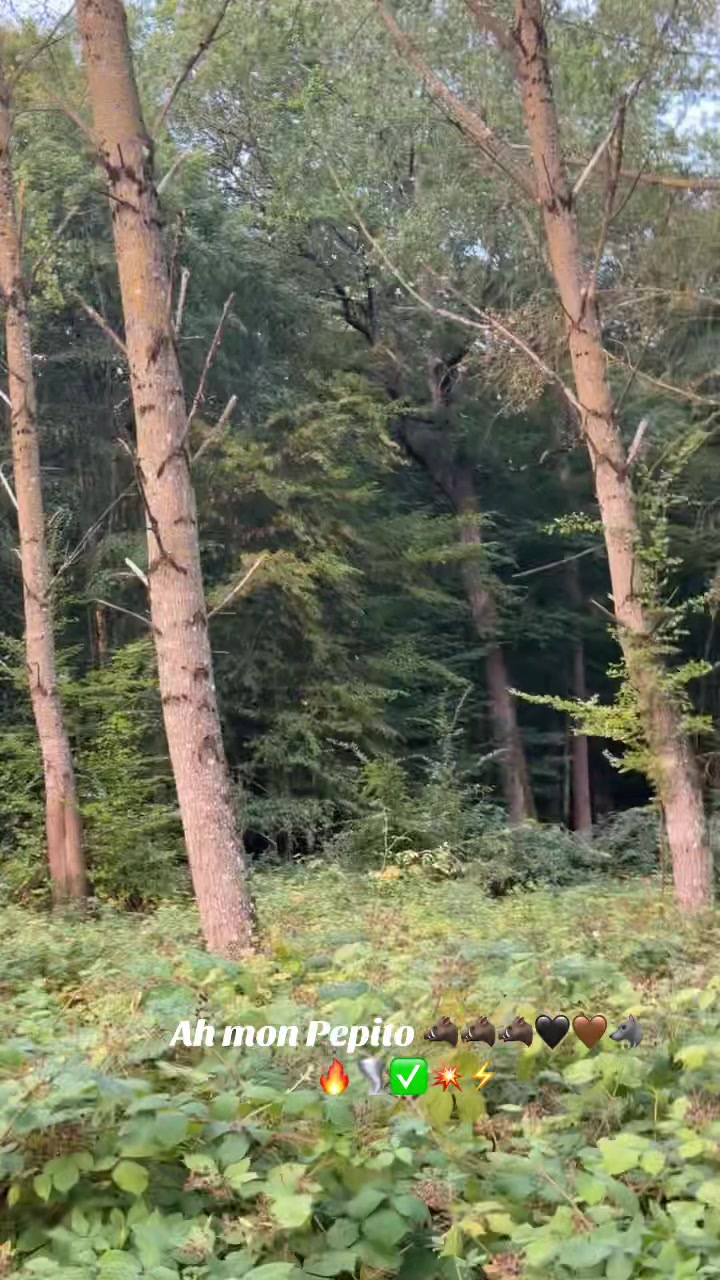 @Thomas