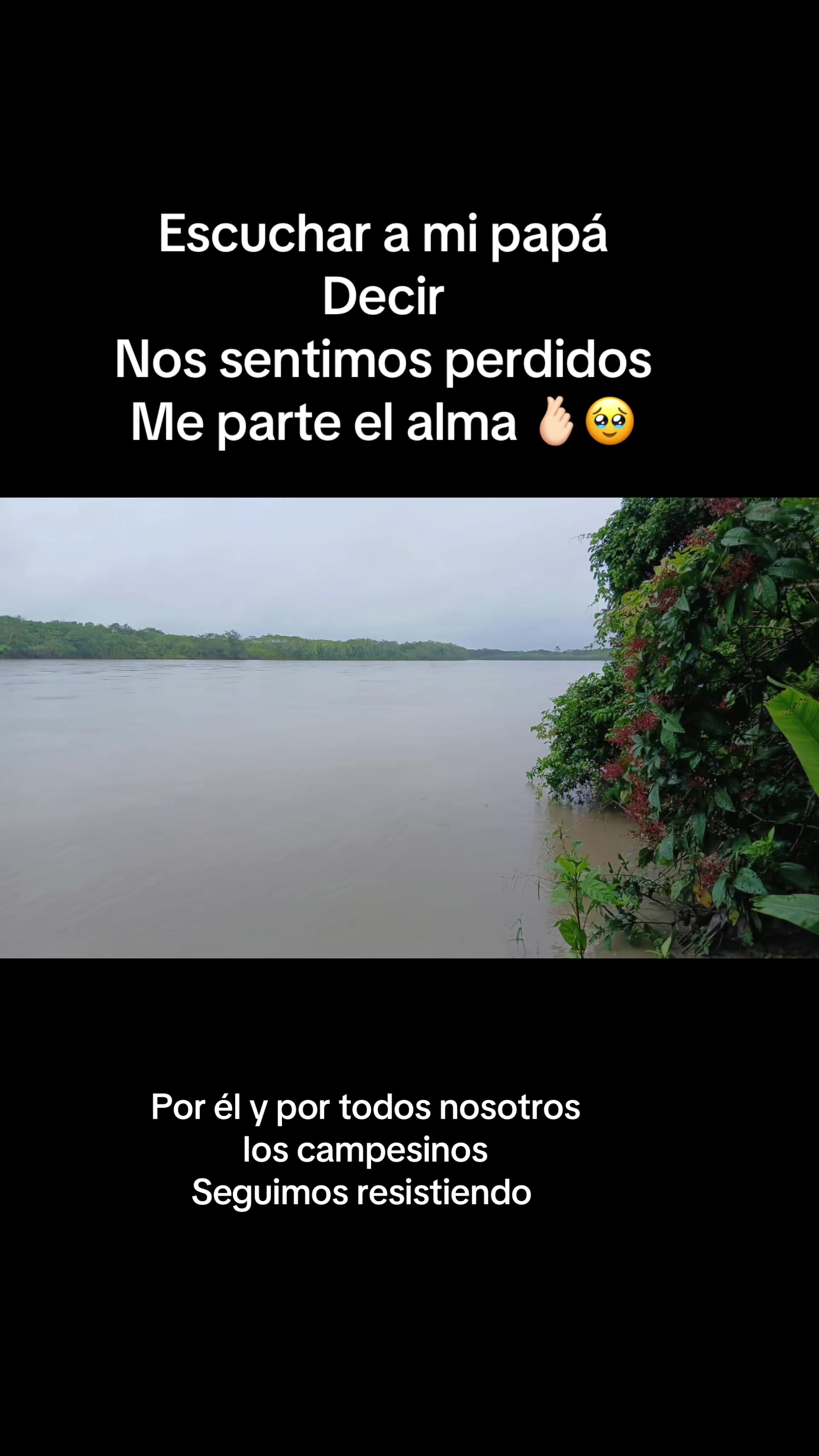 @Carolina Garzon🦋