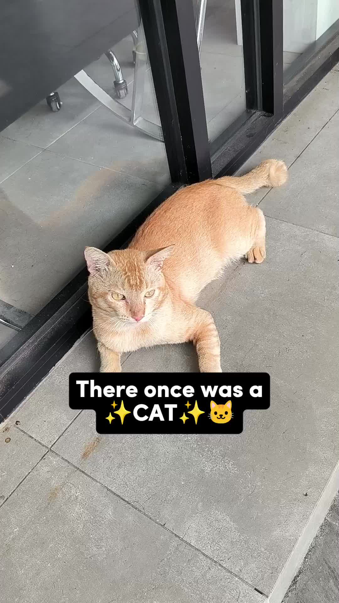 @tessayusoff