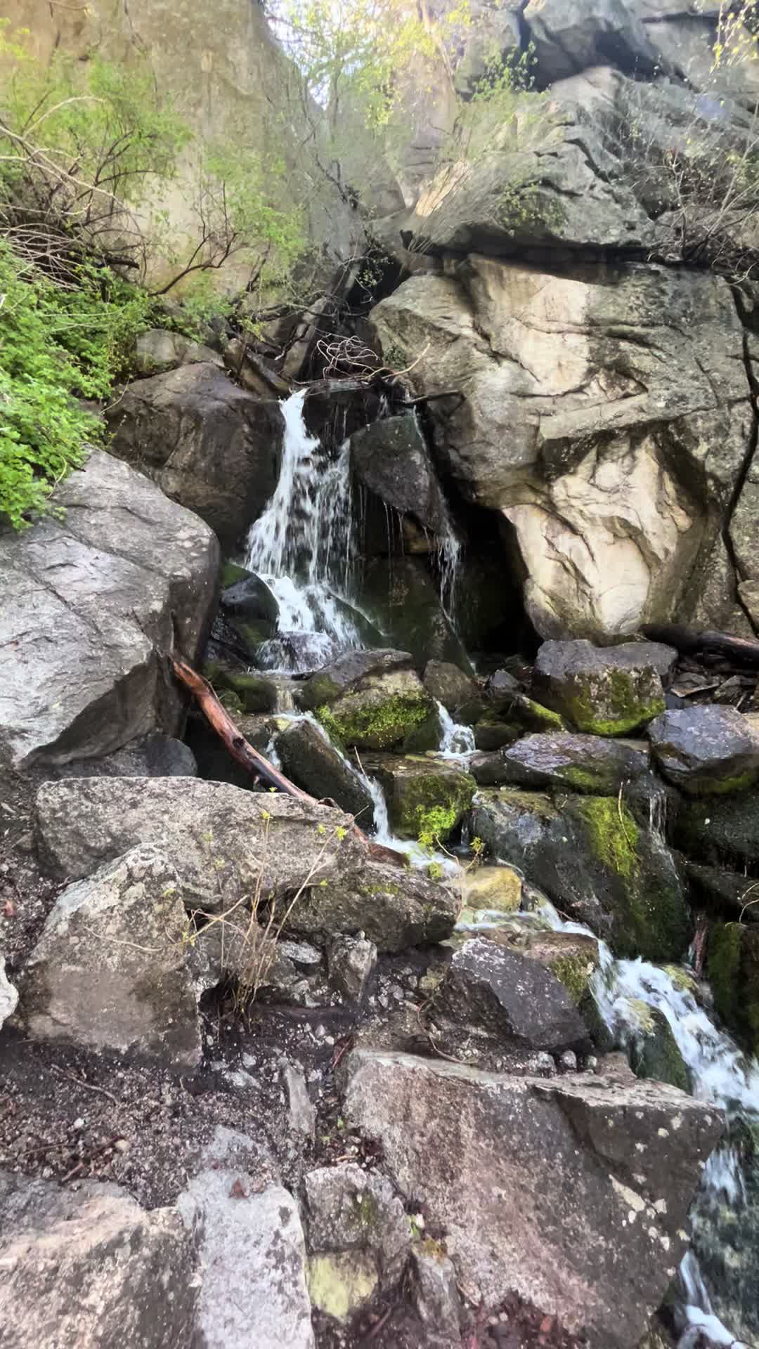@Wild Fowler 🏔️🥾⛰️