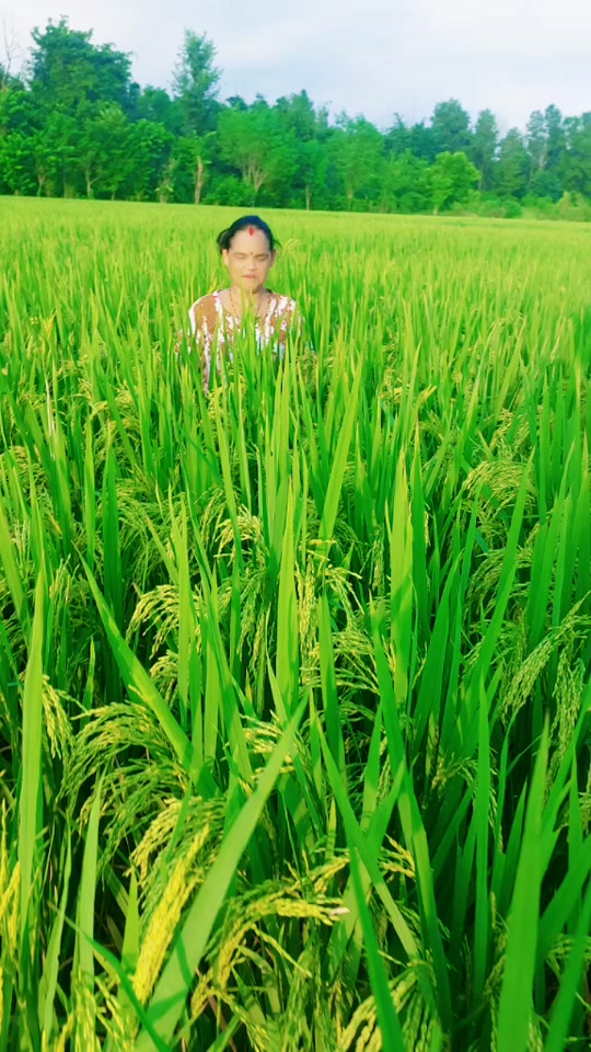@PABITRA subedi