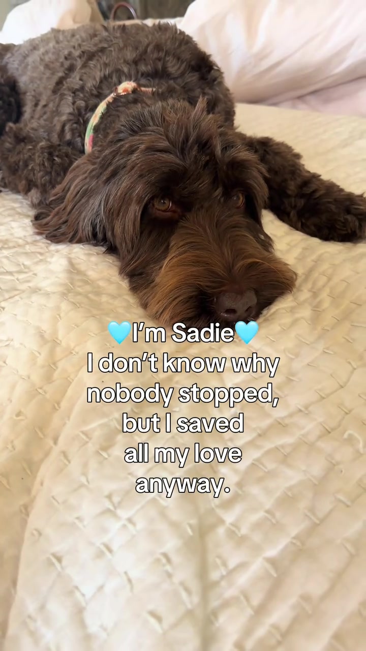 @Sadie the Doodle