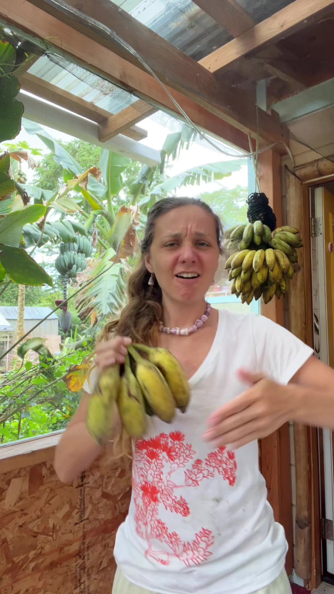 @junglefairyfarm