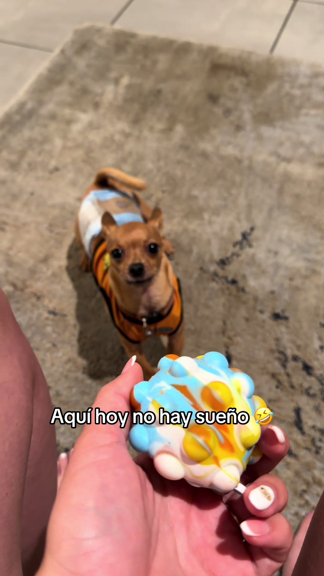 @Gloria Hernandez