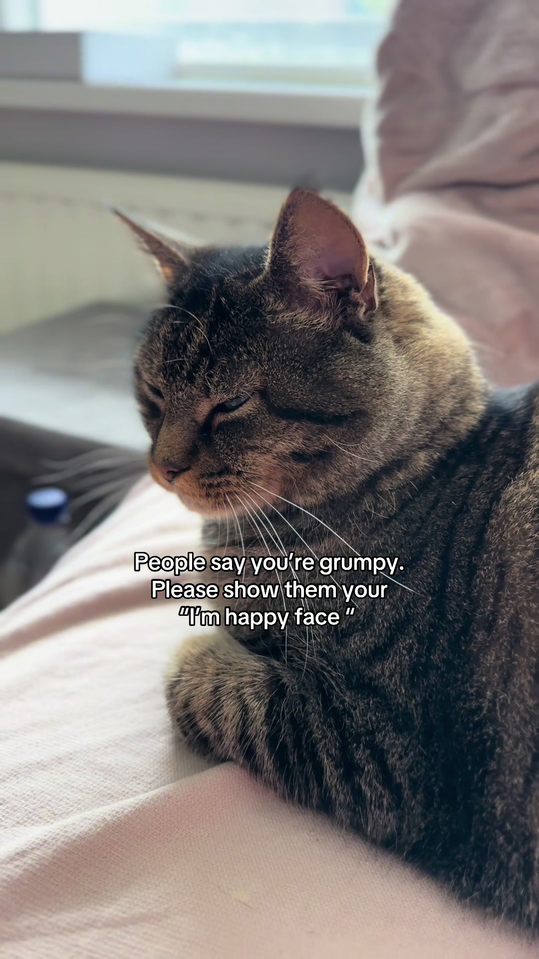 @Joep_the_ rescuecat