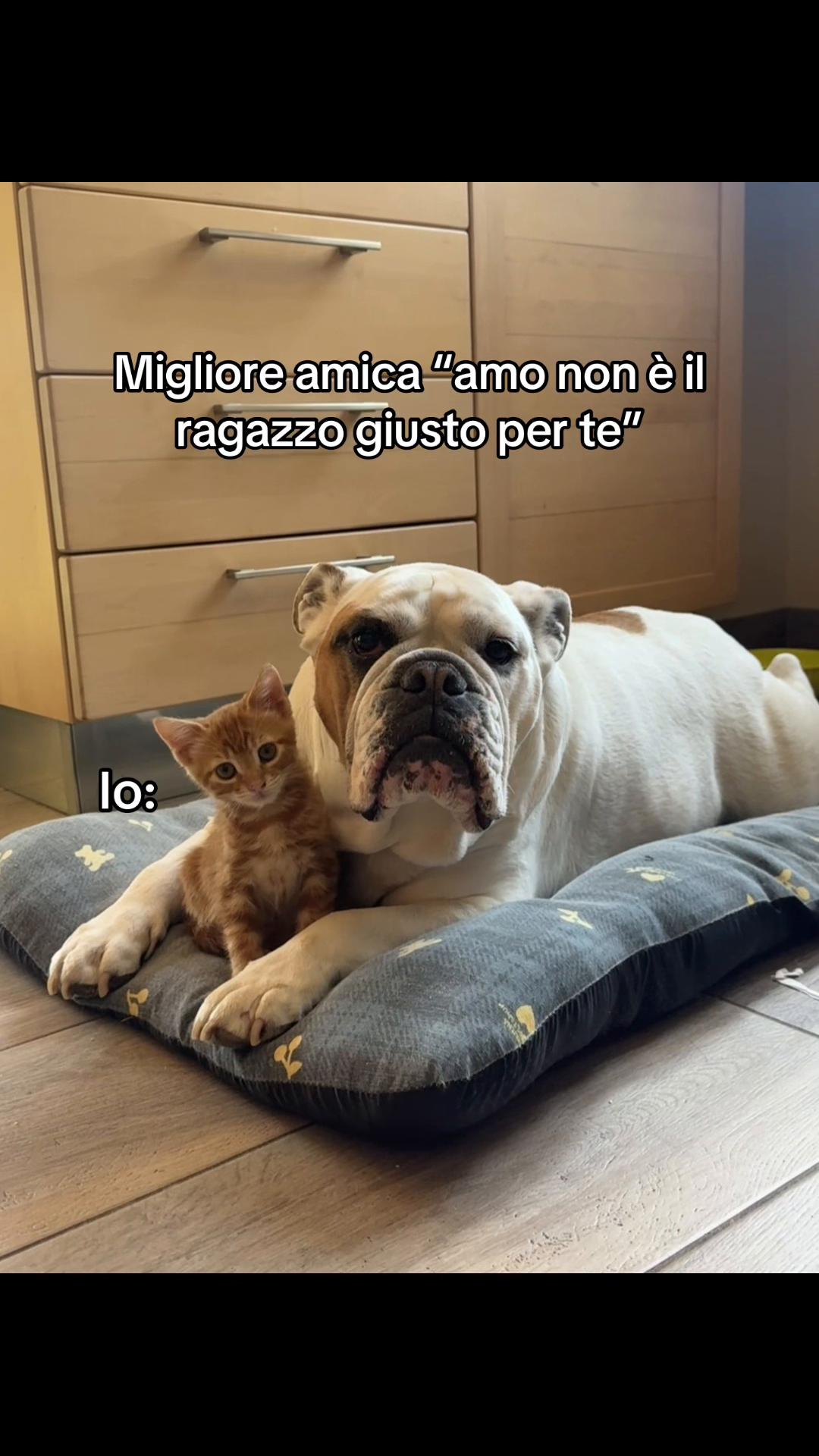 @Arianna.leonardi