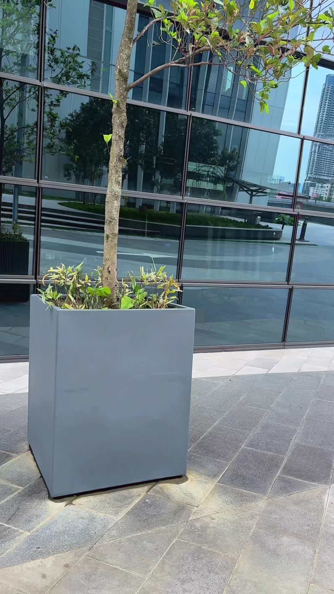 @アニ🕊️