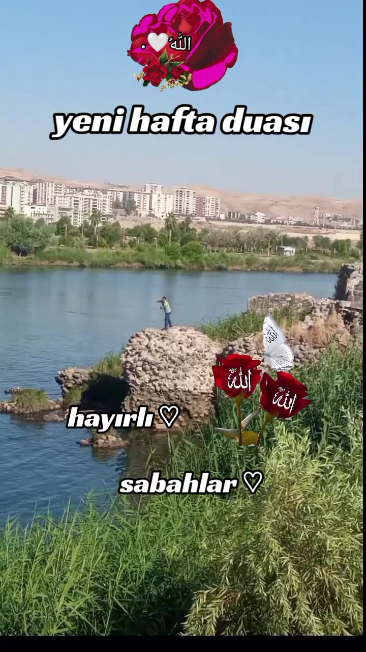 @꧁𓆩🌹᭄ 𝕄𝕖𝕝𝕖𝕜 ᭄ 🌹𓆪꧂