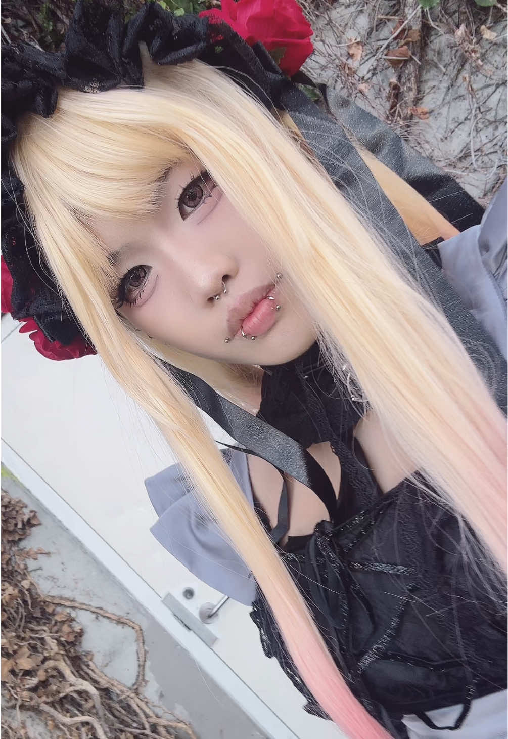 @珍 ᥫ᭡