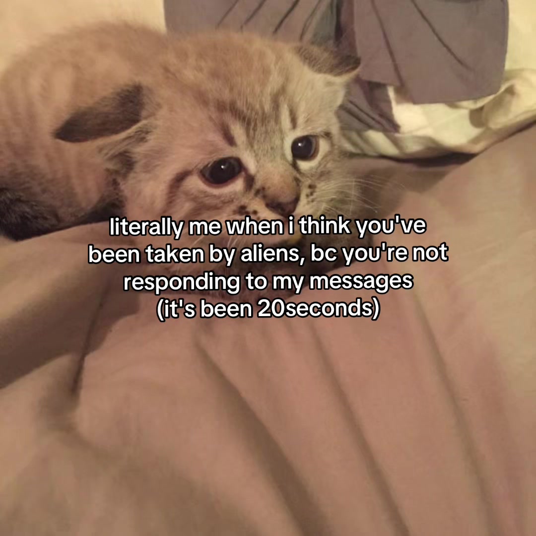@Alice.cattok