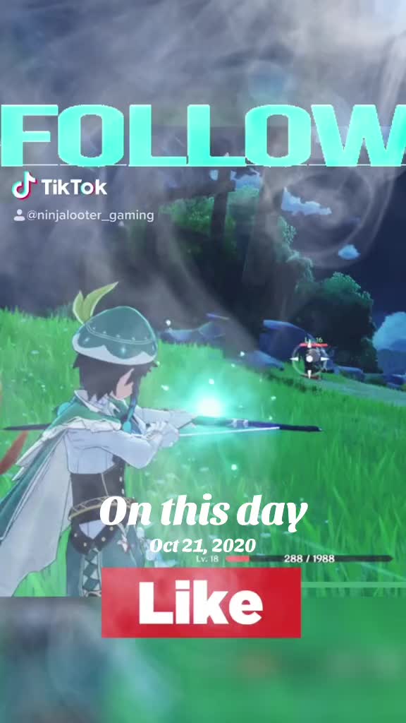 @Ninja Looter Gaming