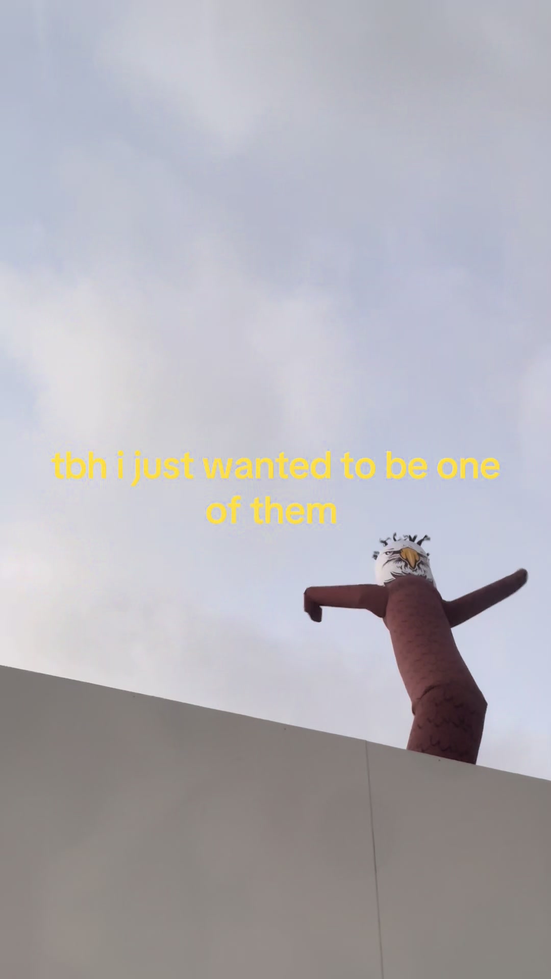@ju ⋆˚꩜。