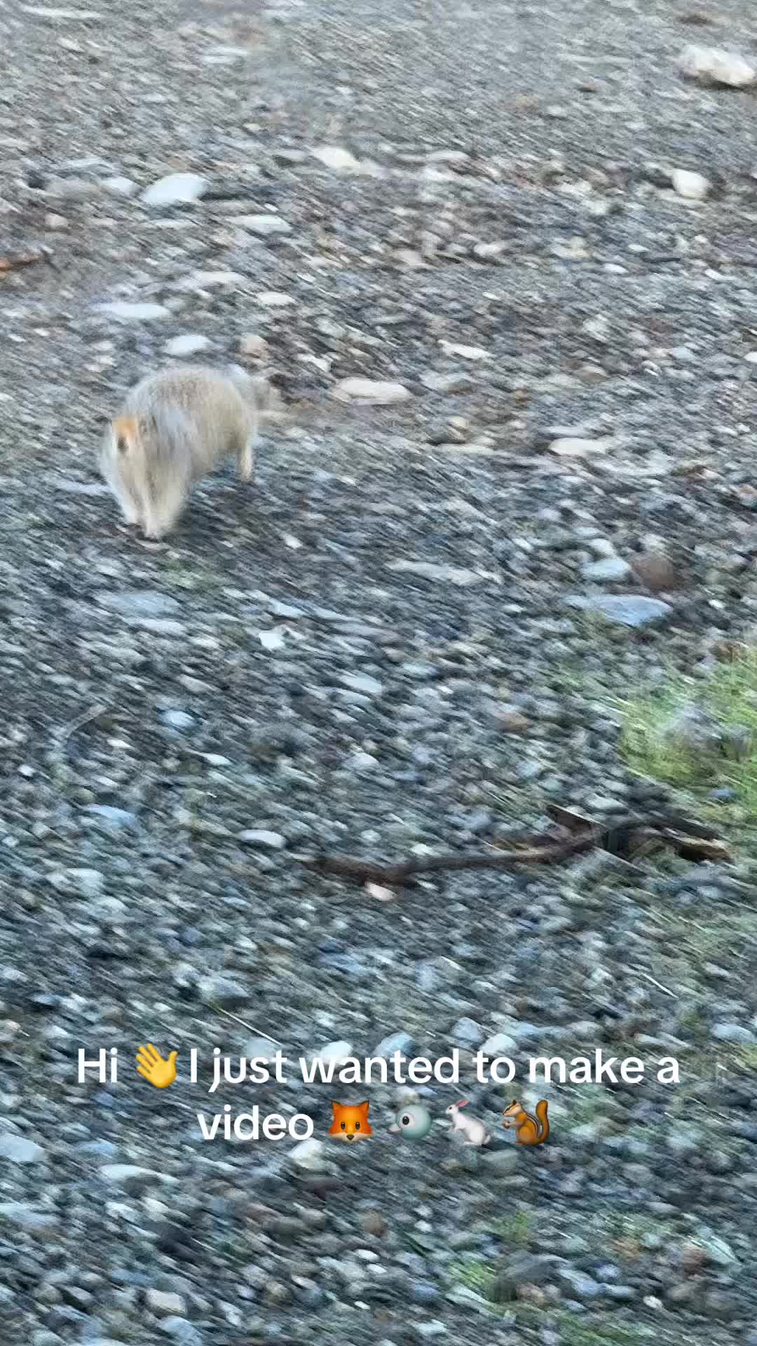 @𝓘𝓷̃𝓾𝓹𝓲𝓪𝓺 🥰