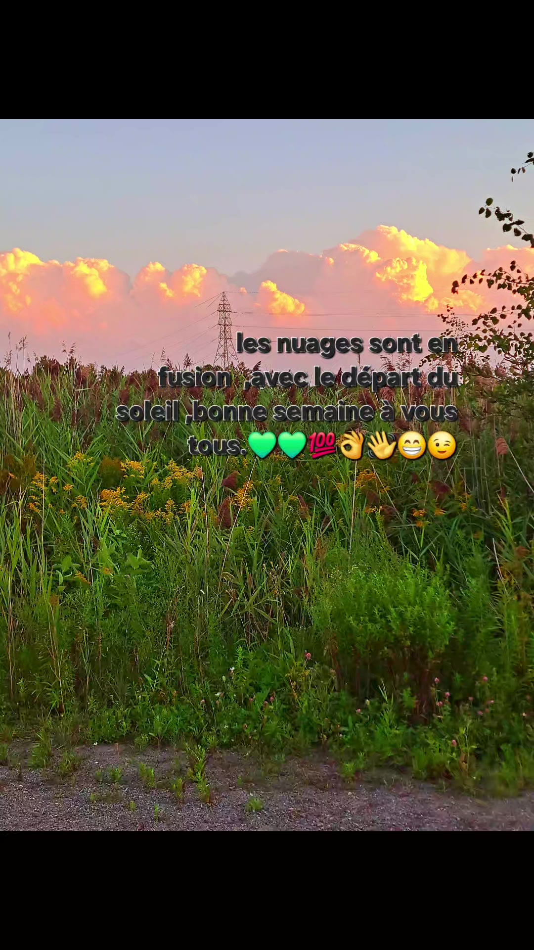 @regis Pinault