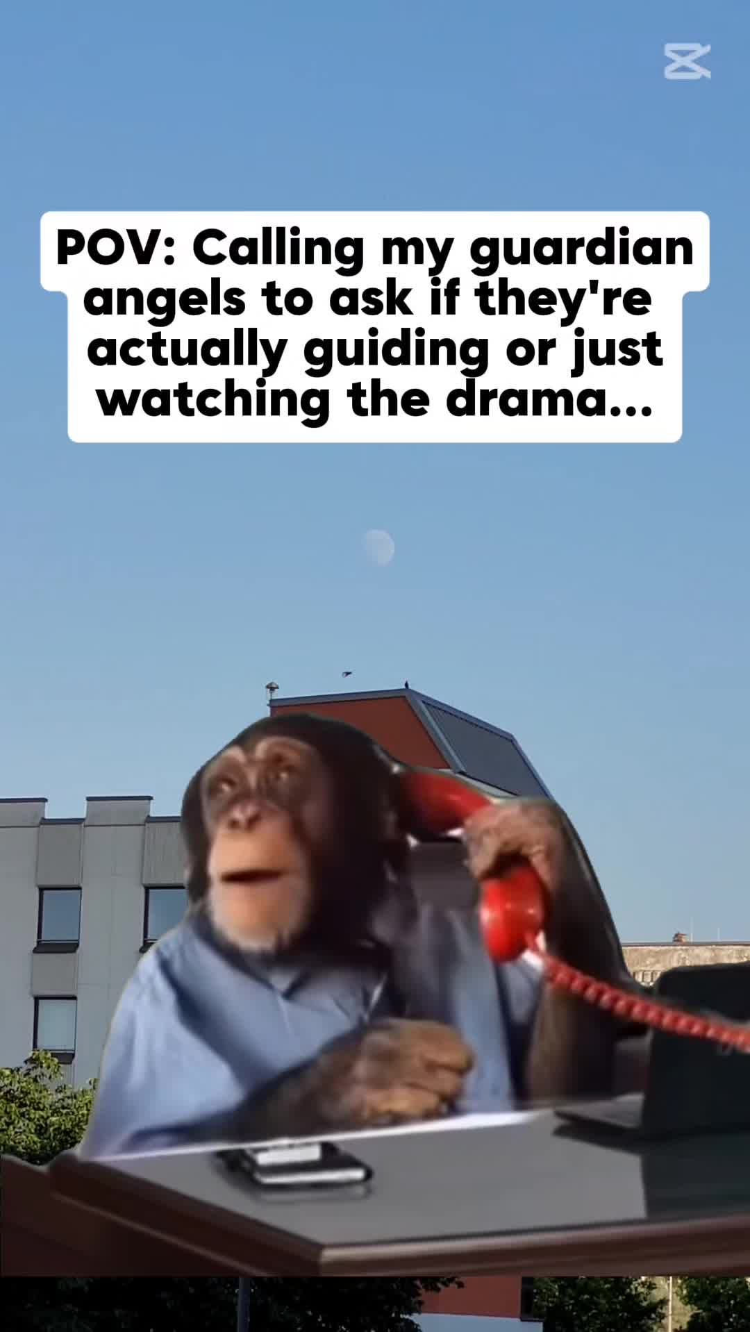 @Midazgd