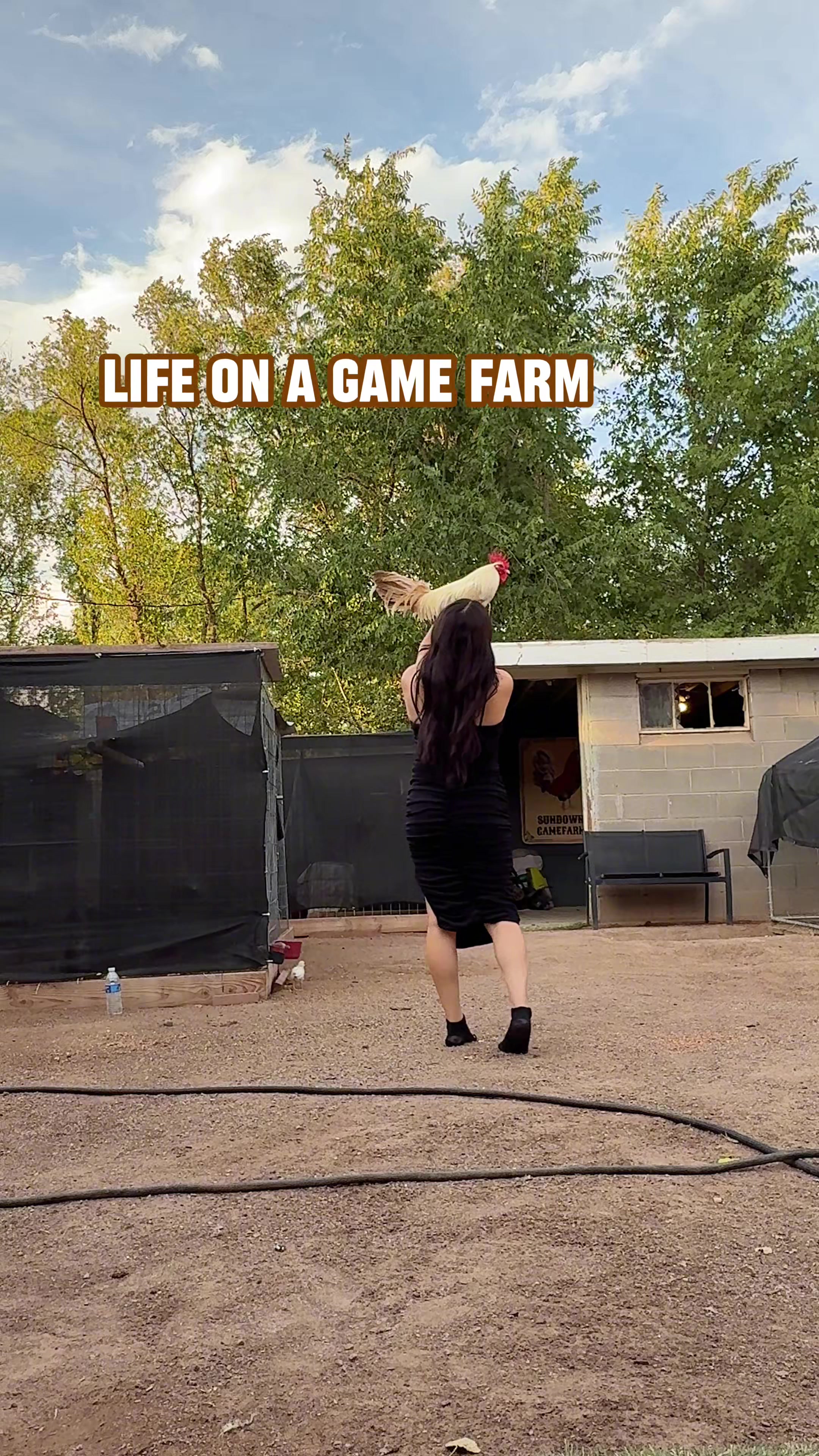 @Sundown Game Farm