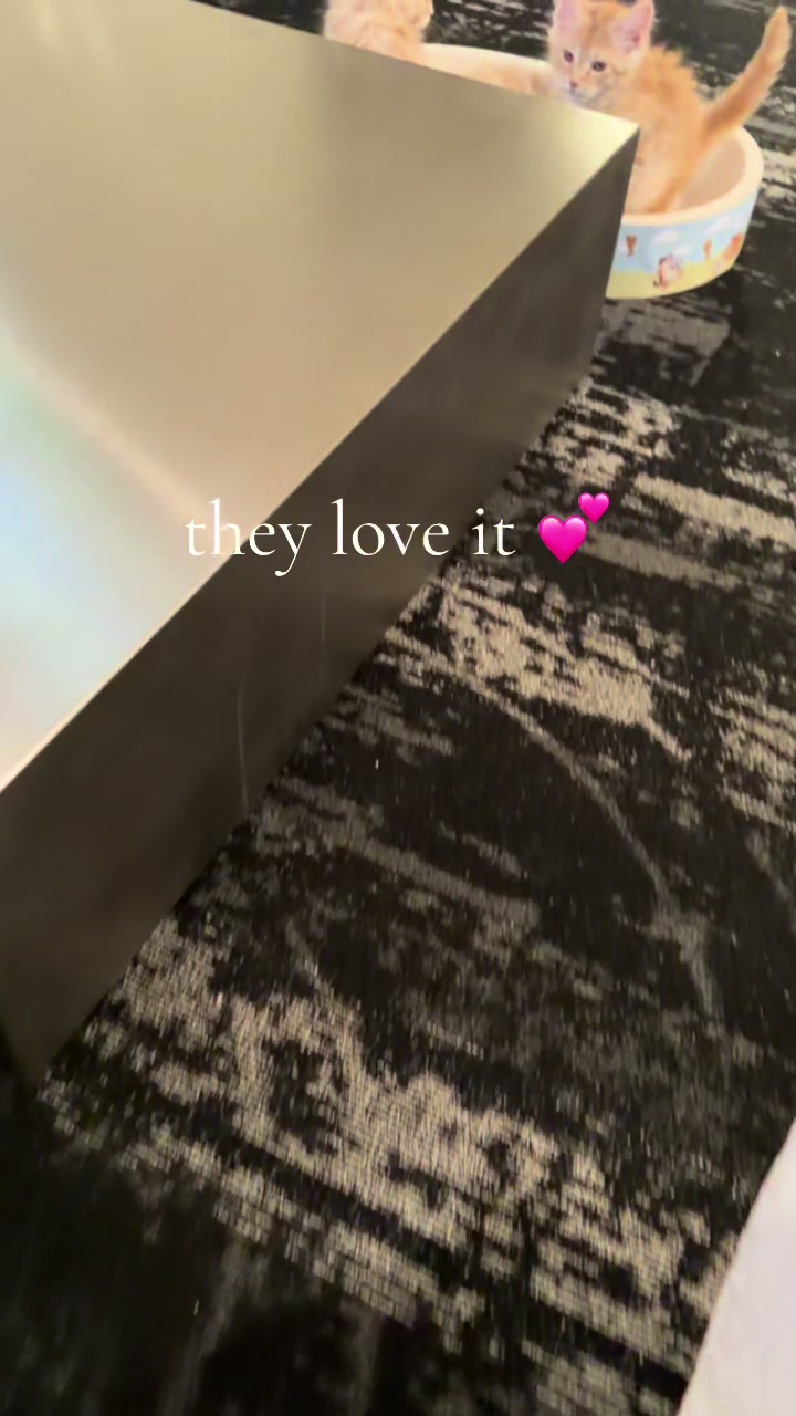 @Jeannee🖤