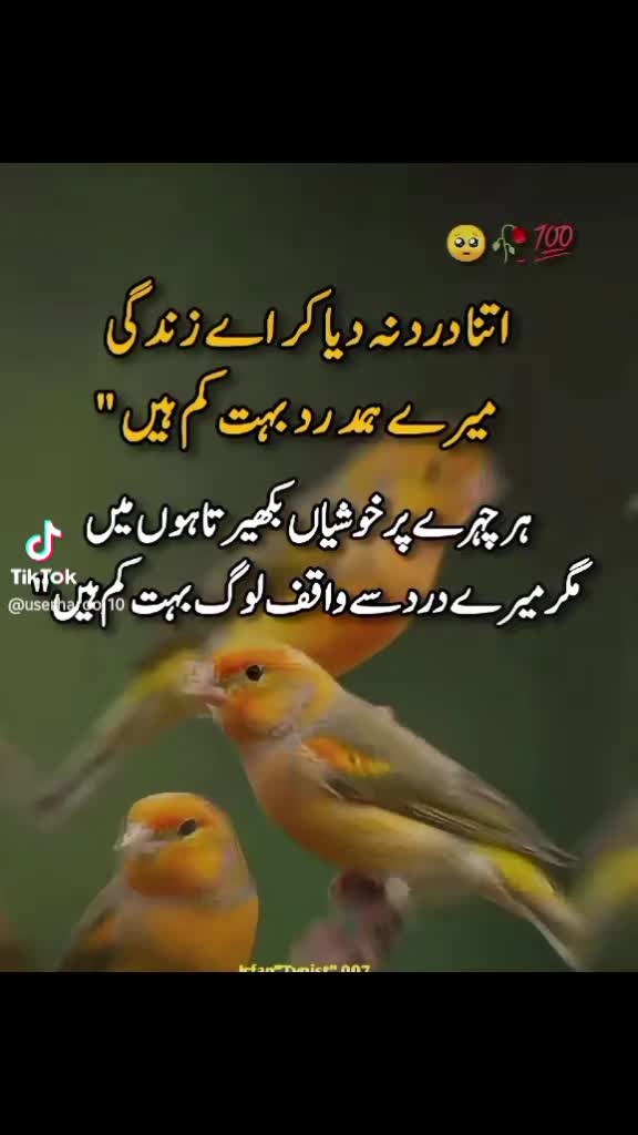 @Rita Ramdas