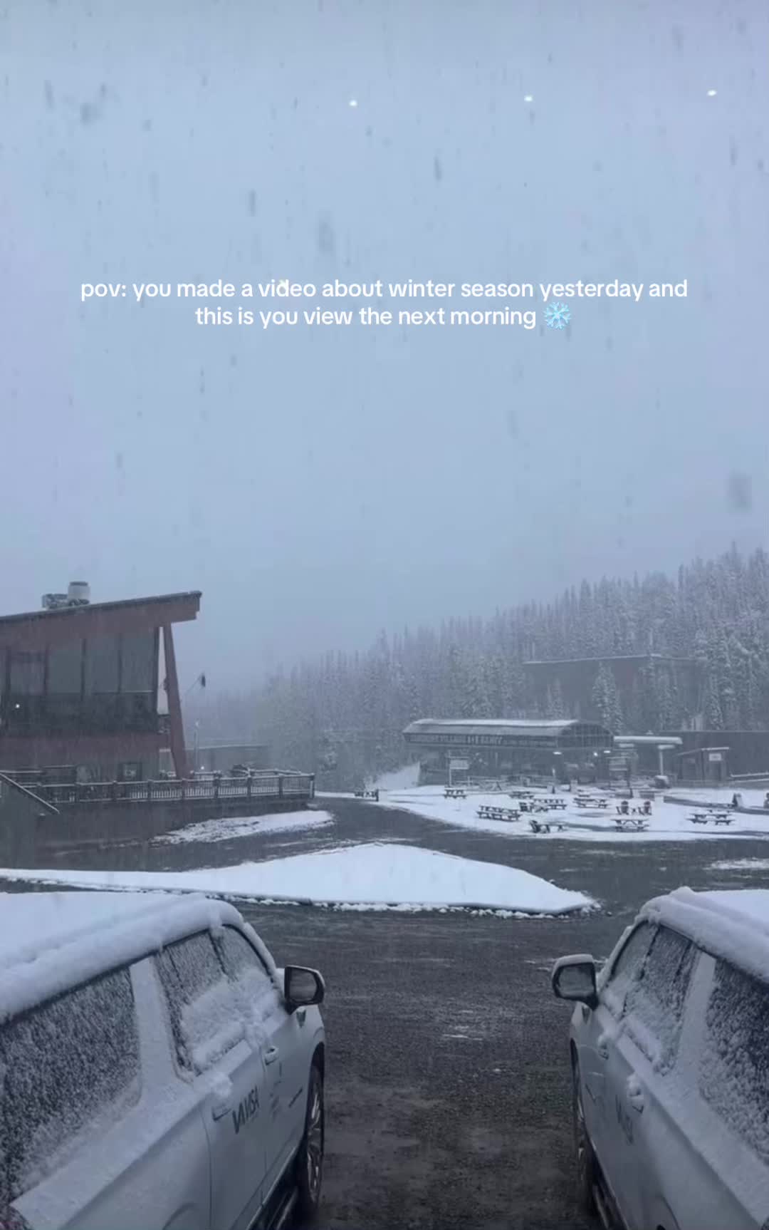 @janaashl 🇨🇦🌿