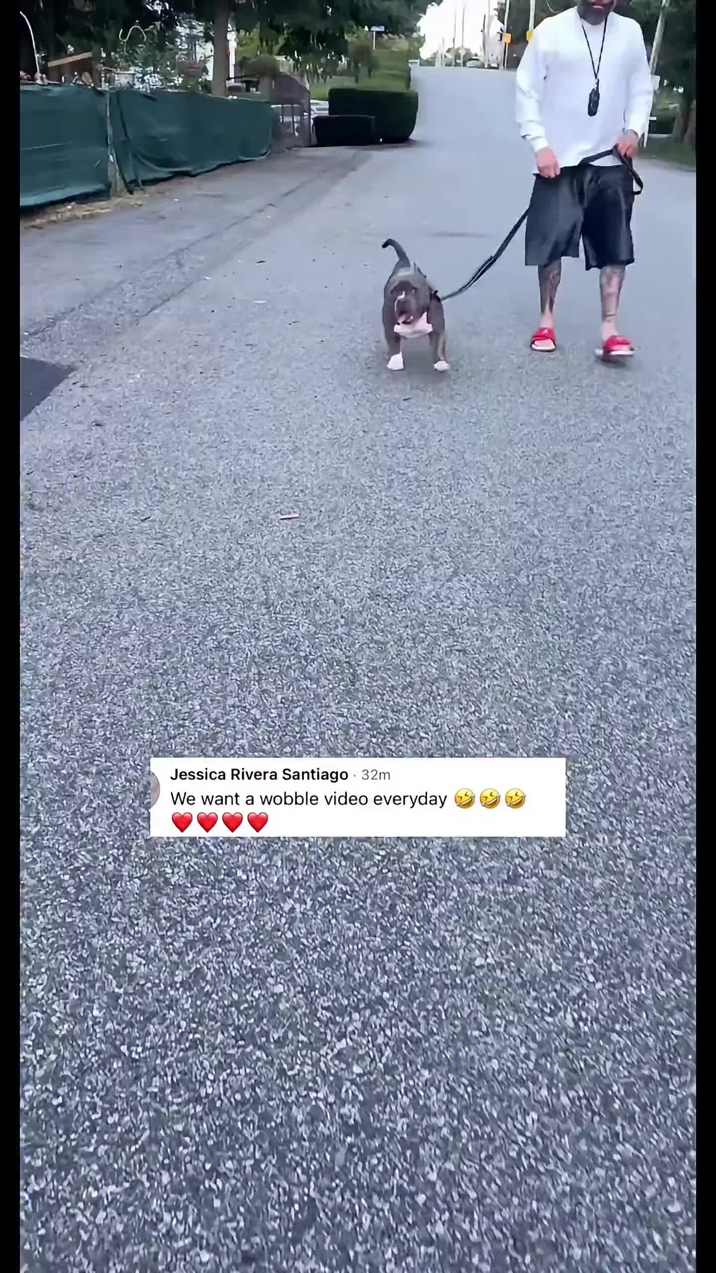 @Gunner | Pocket Bully