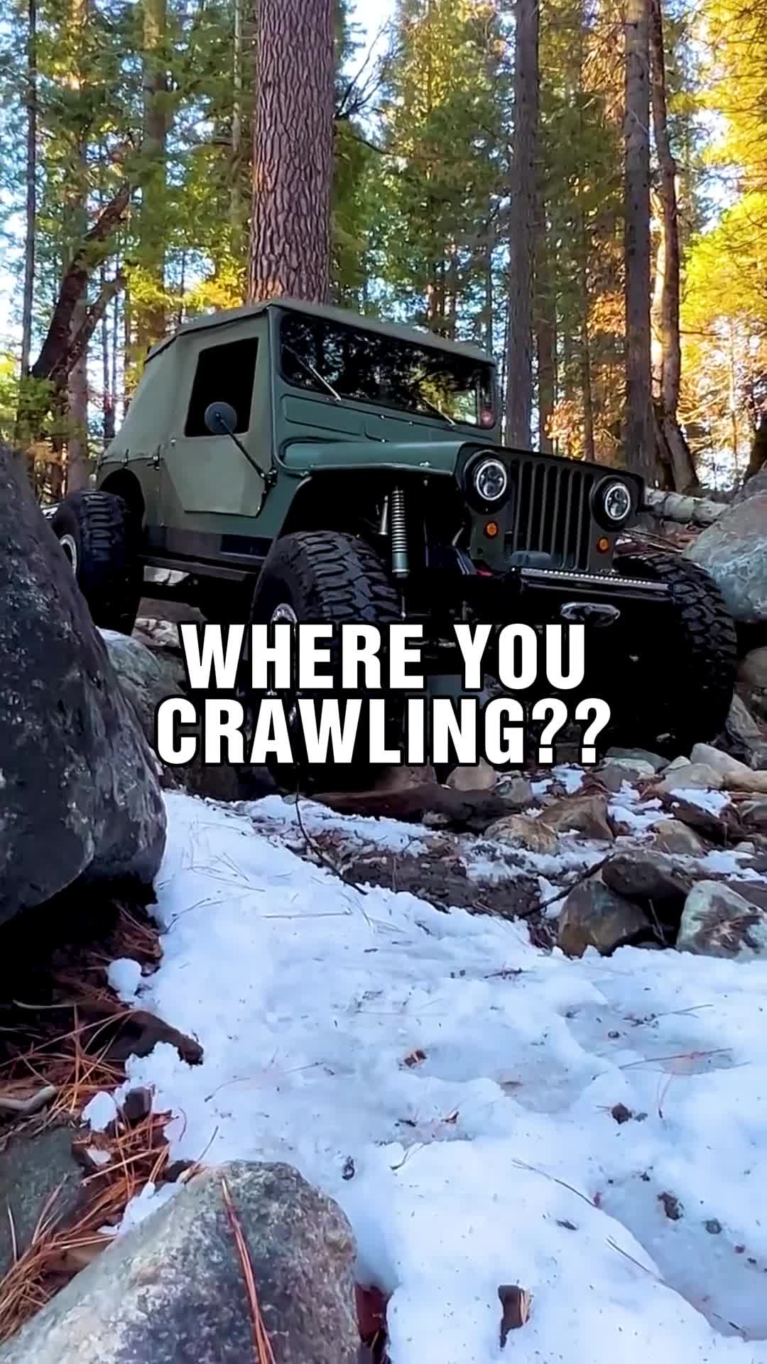 @Alaska Spring
