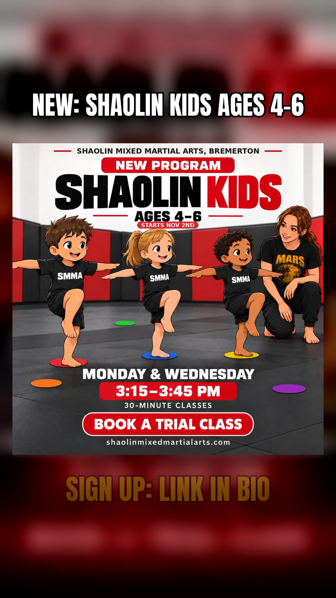 @shaolinmixedmartialarts