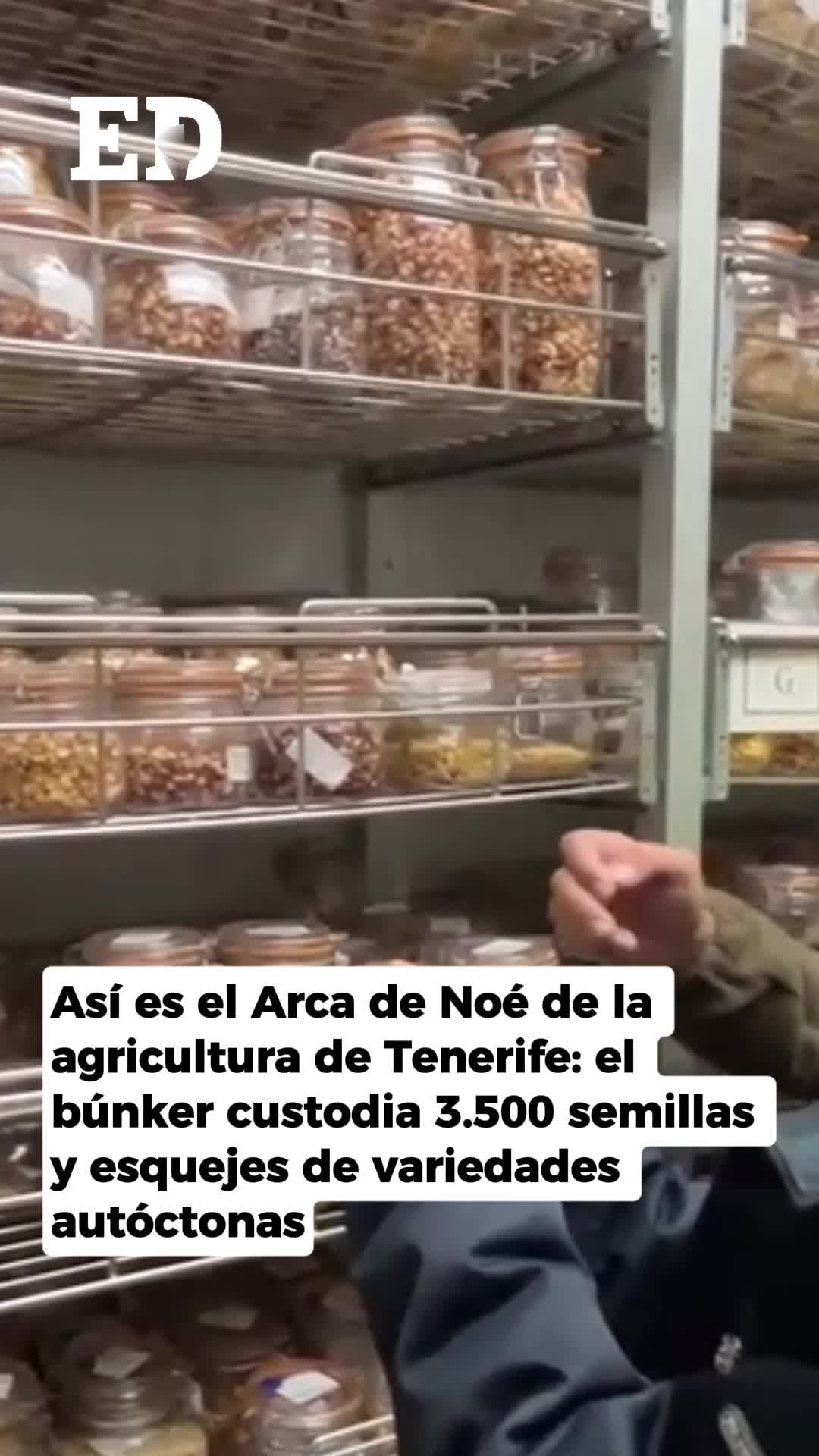 @El Día - Tenerife