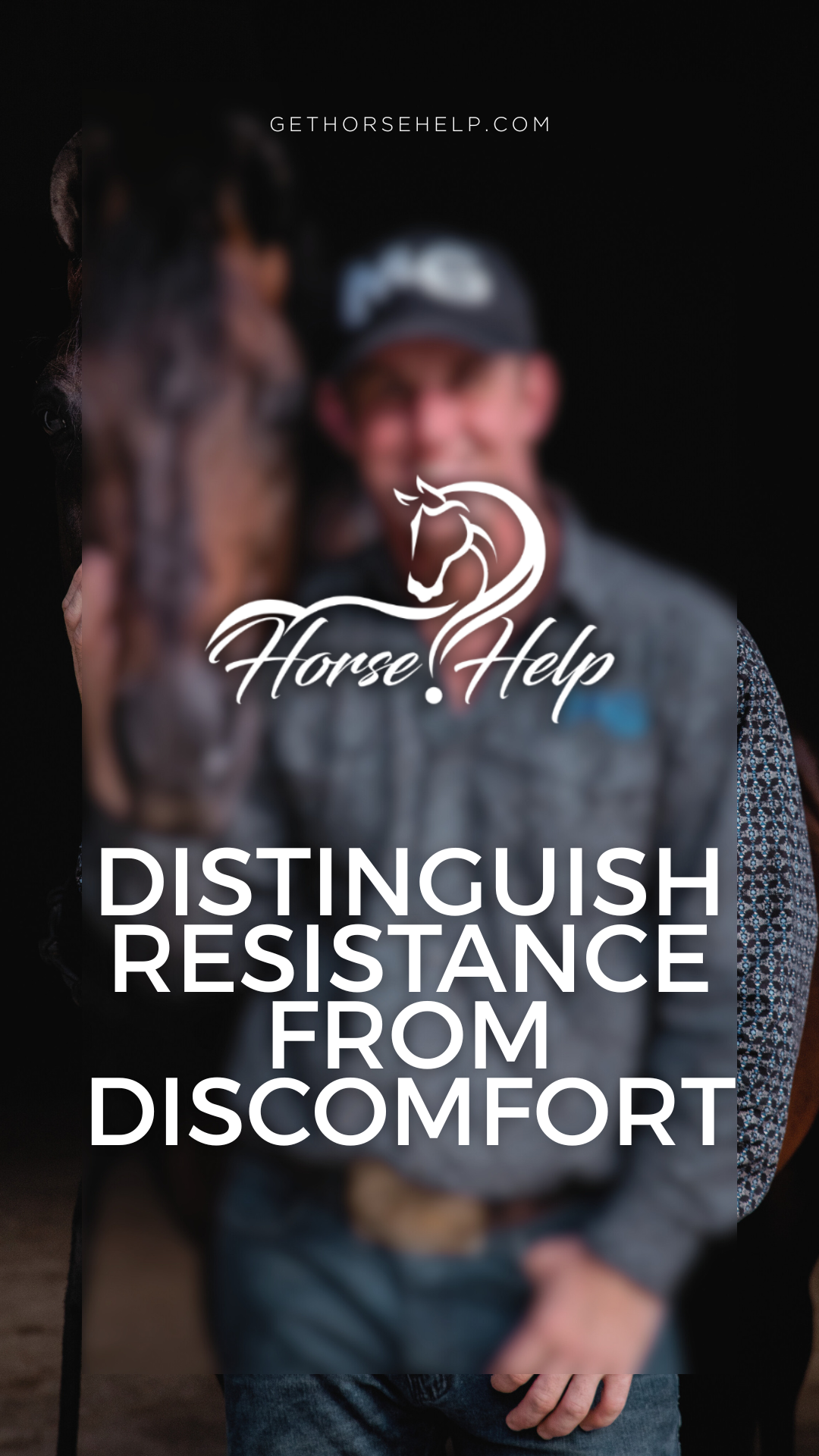 @Horse Help