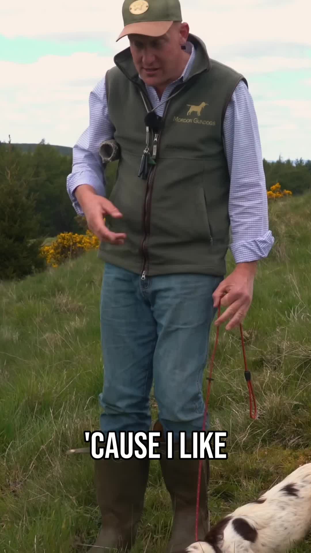 @Mordor Gundogs