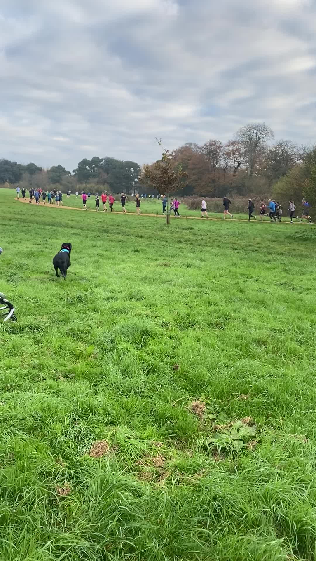 @Ruperttheblacklab