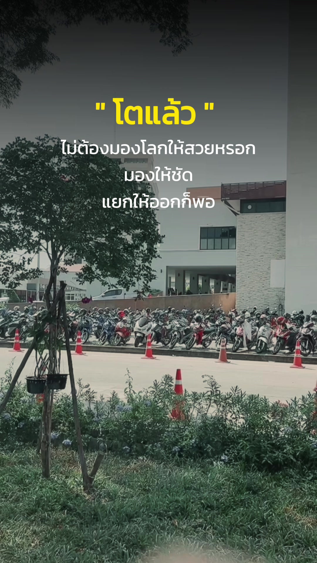 @มนต์ไหมธารา✨