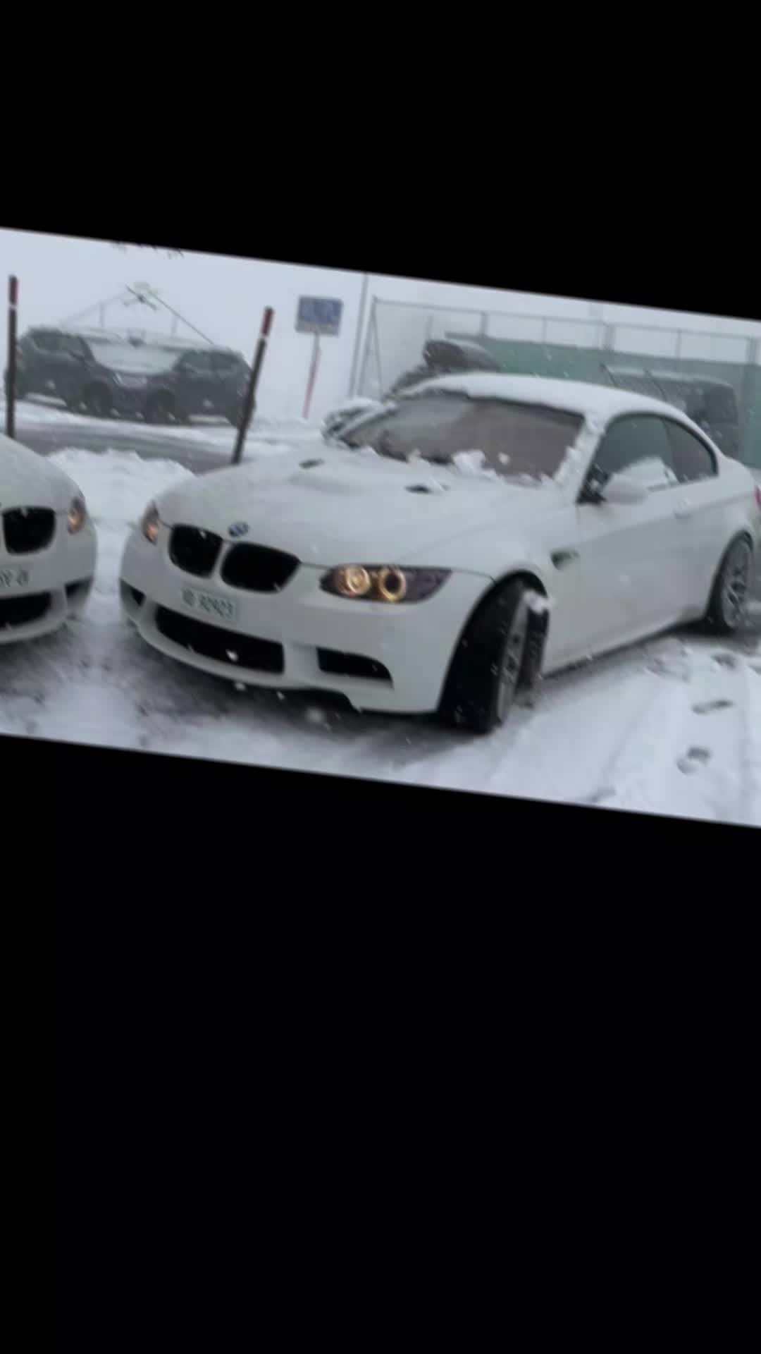 @ariolberisha991