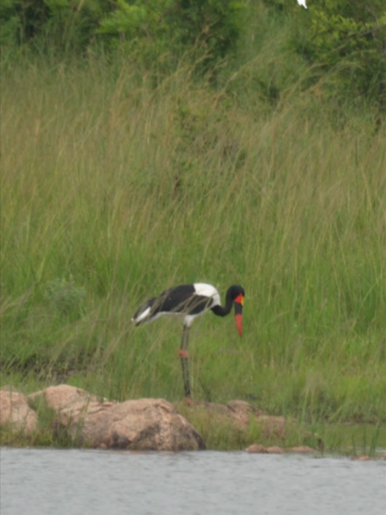 @Madbookings Travel Namibia