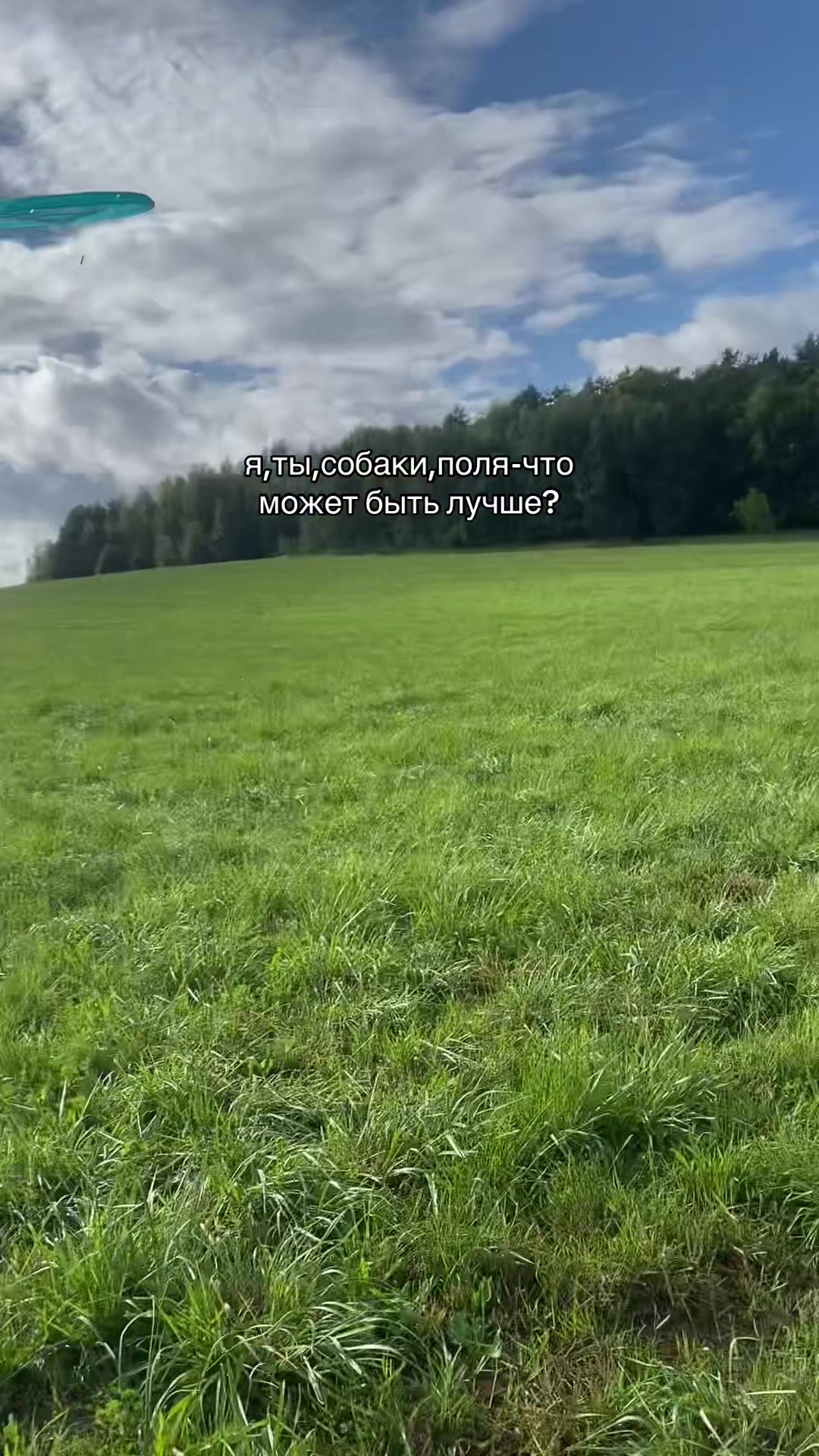 @𝓭𝓪𝓻 𝓭𝓸𝓰🥨🍂