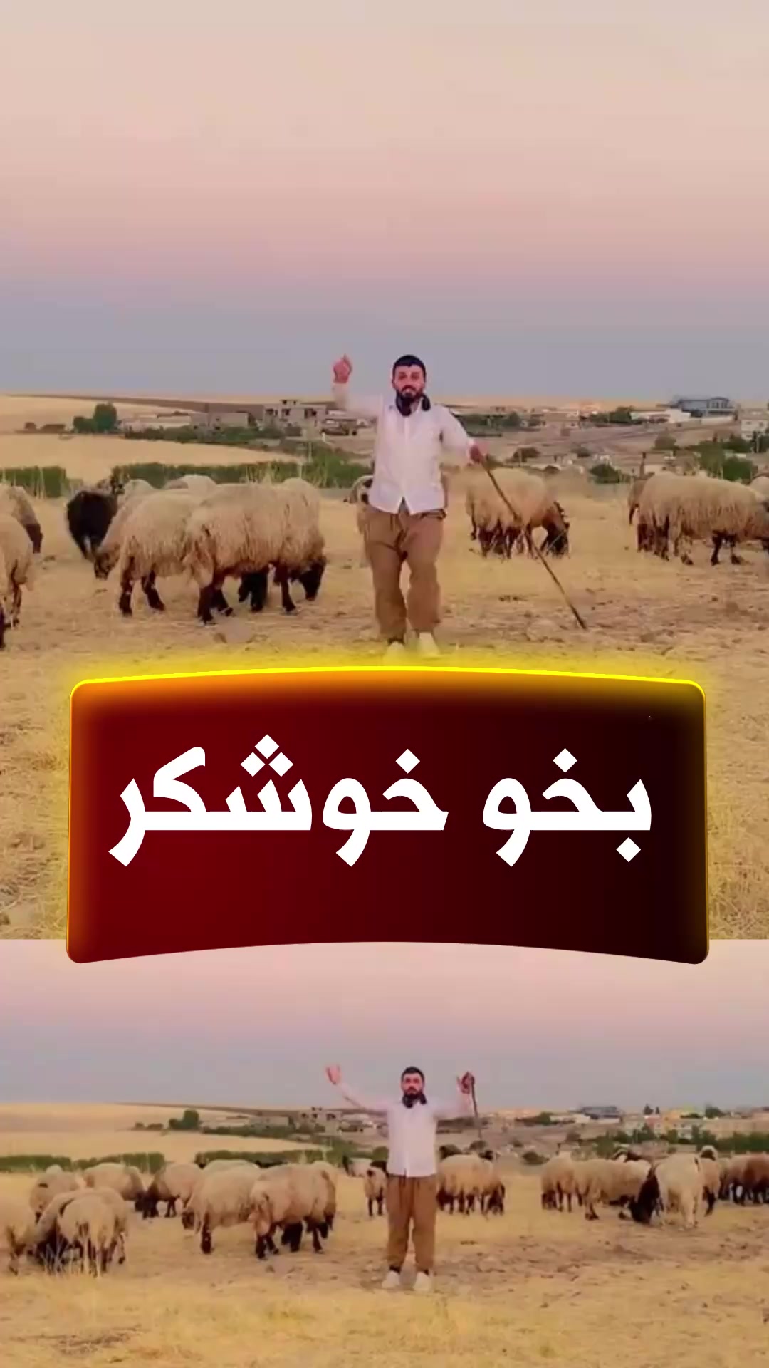 @🎤📺 𓆩جیگر هەركی𓆪 Journalist